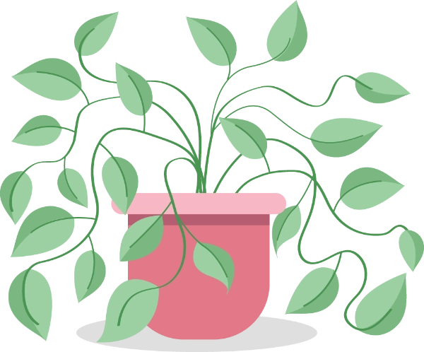 עציץ ורוד עם עלים ירוקים